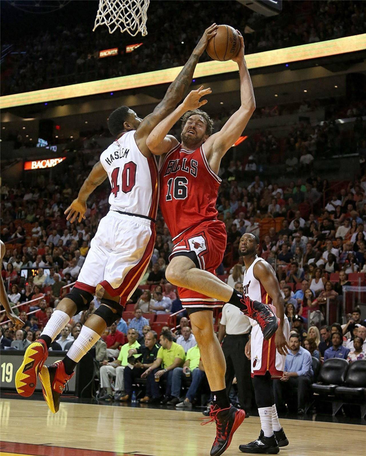 球迷看来 球迷看来