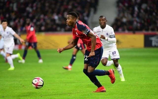 侠展示了他 侠展示了他