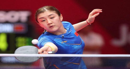 迷进行了抗 迷进行了抗