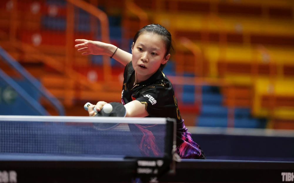 引入了更为 引入了更为